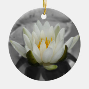 Rond En Céramique Ornement de fleur de BW de nénuphar