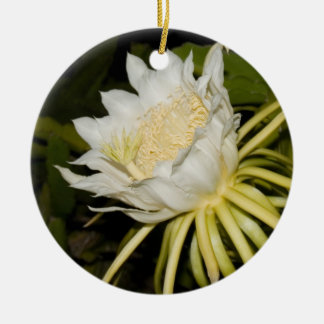 Rond En Céramique Ornement de fleur de cierge de floraison de nuit