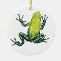 Ornement de grenouille de dard de poison