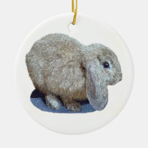 Rond En Céramique Ornement de lapin d'oreille de la Hollande Lop