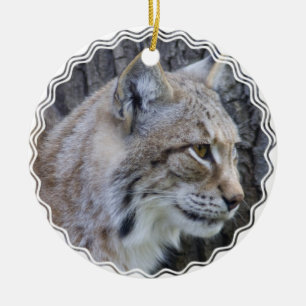 Rond En Céramique Ornement de Lynx