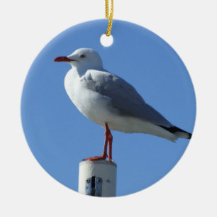 Rond En Céramique Ornement de mouette