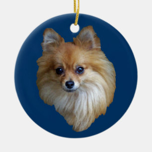 Rond En Céramique Ornement de Pomeranian