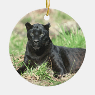 Rond En Céramique Ornement de repos de puma