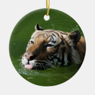 Rond En Céramique Ornement de tigre de natation