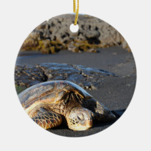 Rond En Céramique Ornement de tortue de mer