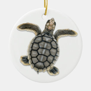 Rond En Céramique Ornement de tortue de mer de Flatback