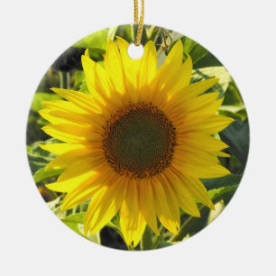 Rond En Céramique Ornement de tournesol Sassy