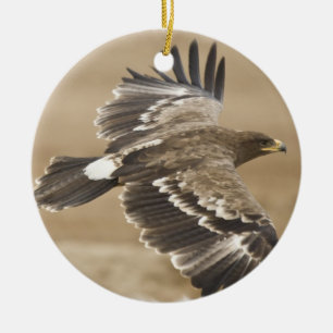 Rond En Céramique Ornement d'Eagle de vol