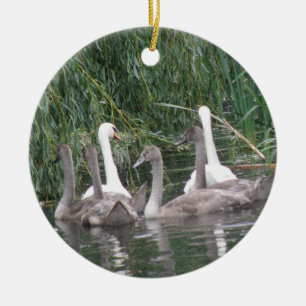 Rond En Céramique Ornement des cygnes et des cygnets