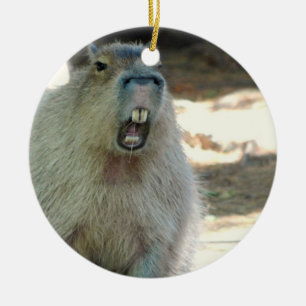 Rond En Céramique Ornement drôle de Capybara