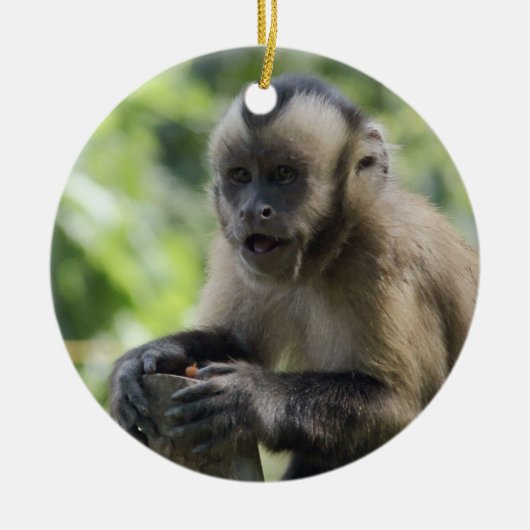 Rond En Céramique Ornement espiègle de singe (Devant)