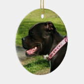 Rond En Céramique Ornement noir de pitbull (Droite)