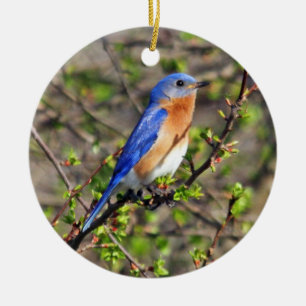 Rond En Céramique Ornement oriental d'oiseau bleu
