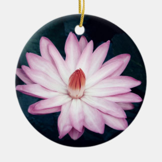 Rond En Céramique Ornement rose de Lotus