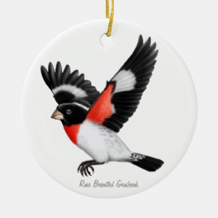Rond En Céramique Ornement rose d'oiseau de gros-bec de Breasted