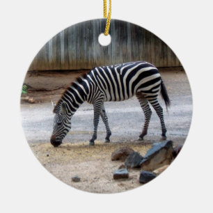 Rond En Céramique Ornement Zebra