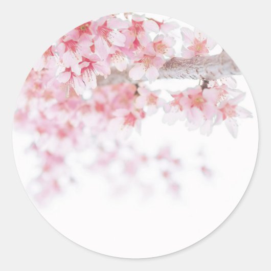 ROND ENVELOPE SEAL STICKER : CHERRY BLOSSOM (Devant)