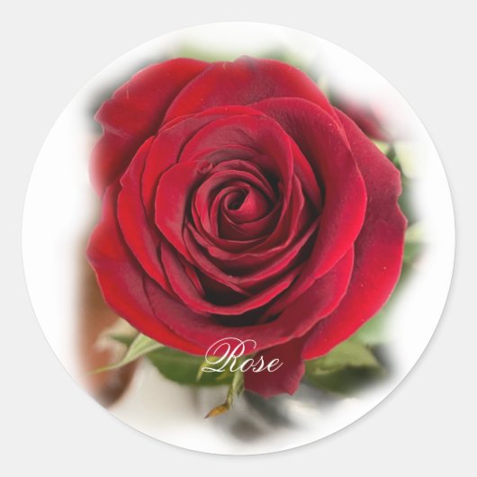 Rond Enveloppe rose Sticker (Devant)