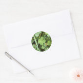 Rond Four leaf Clover Sticker (Enveloppe)