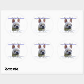 Rond Frenchie Best Friend 2 - Sticker (Feuille)