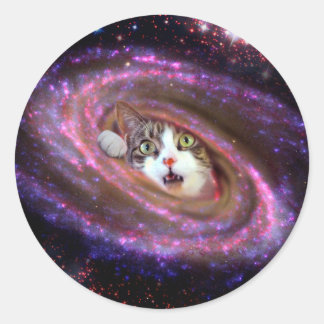 Rond Galaxy Space Cats LOL Funny Sticker