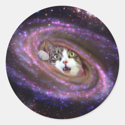 Rond Galaxy Space Cats LOL Funny Sticker (Devant)