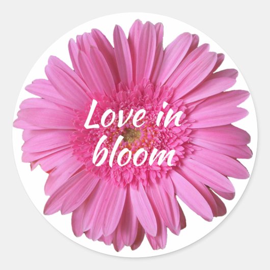 Rond Gerber rose marguerite avec sticker texte (Devant)