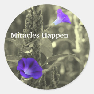 Rond Glories du matin Miracles Happen Sticker