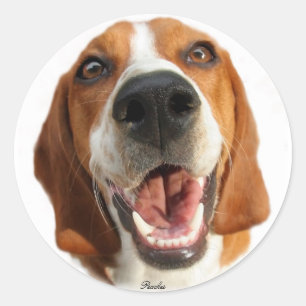 Rond Happy Chien Sticker