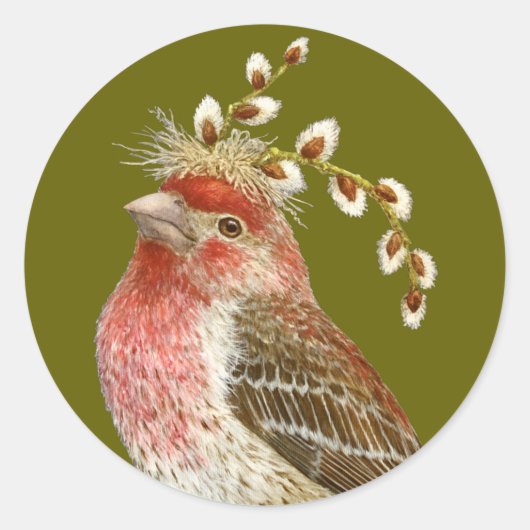 Rond House finch sticker (Devant)