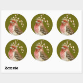 Rond House finch sticker (Feuille)