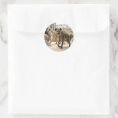 Rond Hyena Prend Un Sticker À Regarder (Sac)