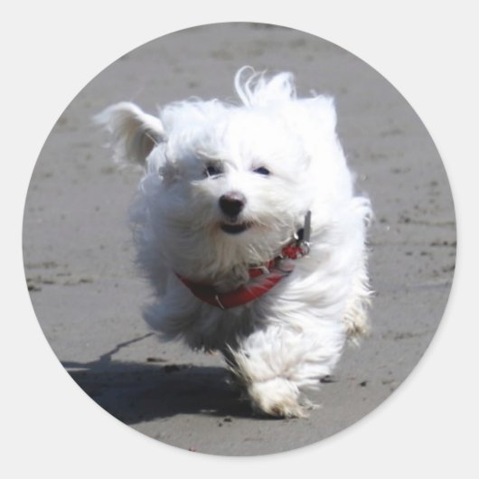 Rond Jan Sticker (Devant)