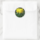 Rond Jaune jonquilles - Sticker (Sac)