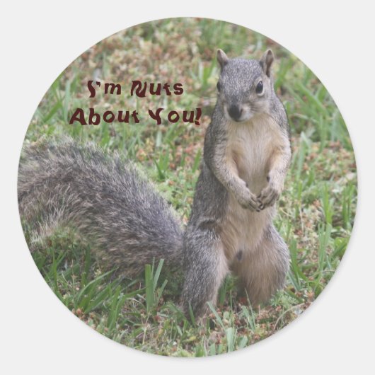 Rond Je suis Nuts à propos de vous Sticker (Devant)