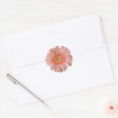 Rond Joli Sticker Gerber Daisy Peach (Enveloppe)