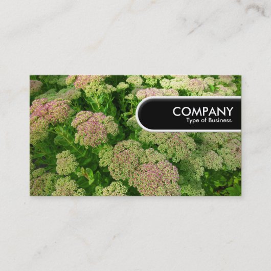 Rond Label rand - Sedum "Autumn Joy" (Voorkant)