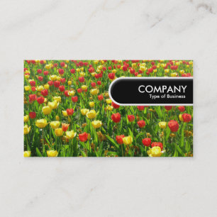 Rond Label rand - Zee Tulpen II