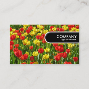 Rond Label rand - Zee Tulpen III