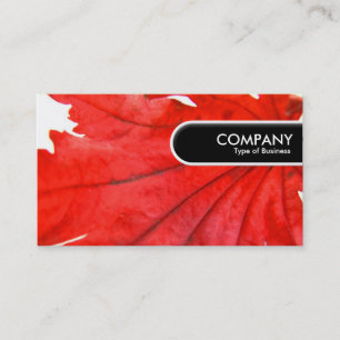 Rond Label van de Rand - Japans Maple Leaf
