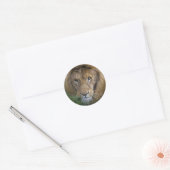 Rond Le Sticker du Roi (Enveloppe)