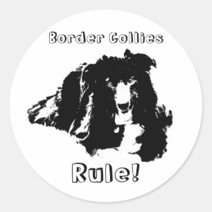 Rond Les colles de la frontière Règle Drôle Sticker 