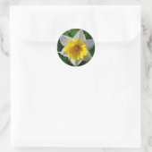 Rond Les jonquilles symbolisent le renouveau - Sticker (Sac)