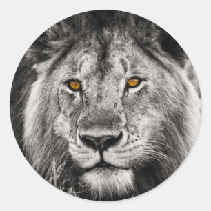 Rond Lion of Judah - Rastafara - Jah Rastafari Sticker