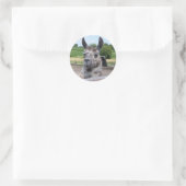 ROND LLAMA STICKER (Sac)