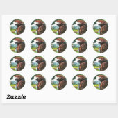 Rond Llama - Sticker (Feuille)