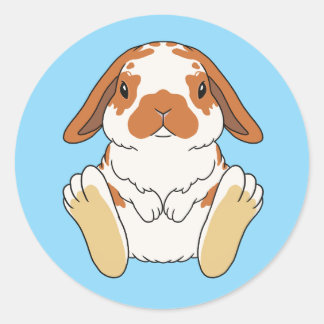 Rond Lop Bunny Sticker Broken Orange