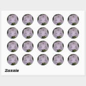 Rond Magnolia Sticker (Feuille)