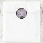Rond Magnolia Sticker (Sac)